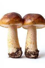 Two mushrooms, close-up, isolated on white.  Distinct brown caps, pale stems with dirt