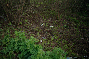 Distant view of a forest landscape with trees, grass, and visible garbage scattered on the ground. Symbol of pollution and environmental neglect in nature.