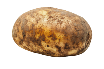 Large brown potato with earthy texture and natural imperfections resting on a white background without any distractions in focus