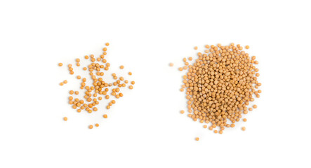 Dry yellow mustard seeds isolated on white background