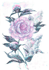 Art peony and lilac painted with watercolors on a white background by hand. Image of flowers in blue and purple colors.