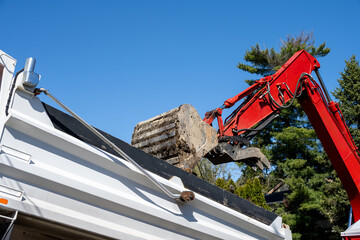 Jawbone bucket on excavator dropping dirt into a dump truck, groundwork in preparation for...