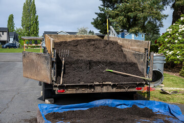 Gardeners work truck filled with fresh mulch ready to spread in residential neighborhood garden on...