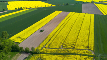 Spring agricultural landscape of the Lower Silesian Voivodeship, Poland