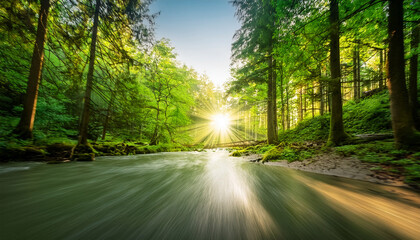 Obraz premium sunlight in green forest