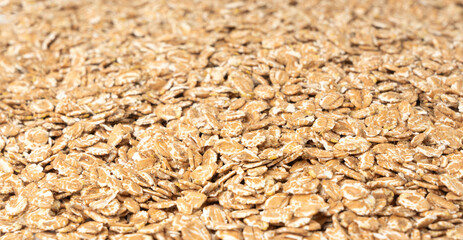 Spelt flakes isolated, dry raw rolled flat oat grains, wheat, oatmeal or bran, barley rye cereals