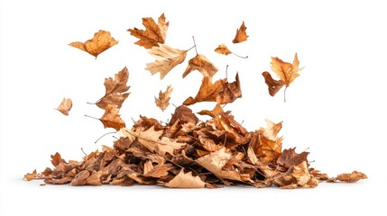Autumn leaves scattered around a pile of fallen leaves.