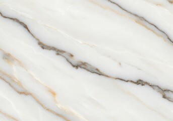 Classic White Marble Texture with Grey and Gold Veins Elegant Natural Stone Slab Surface