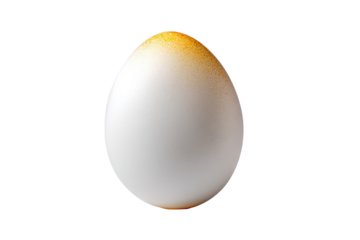 Single white egg isolated on studio shot food diet farm oval item pure on transparent background