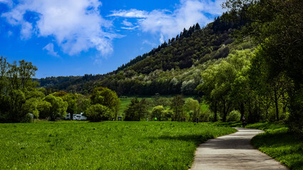 path in the park
