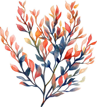 recommend clip art: seaweed 