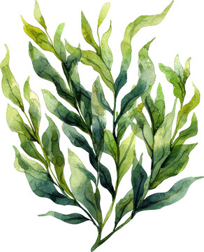 watercolor green leaves on white background clip art preview
