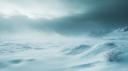 Vast, wintry landscape, blanketed in soft snow.