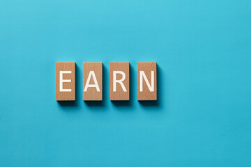 Obraz premium There is wood block with the word EARN. It is as an eye-catching image.