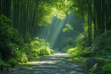 Obraz premium Sunbeam shining through lush green forest with dense vegetation