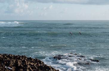 view of the ocean with waves and foamy water close tho the rocky shoe under the daylight
