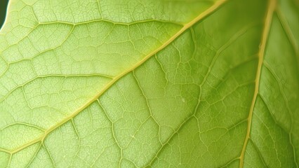 Fototapeta premium Delicate Leaf Patterns on Muted Sage Green with Soft Glowing Sparks