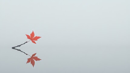 A solitary autumn leaf reflects serenely on a still water surface.