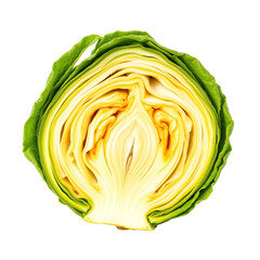 Freshly cut cabbage with vibrant green leaves.