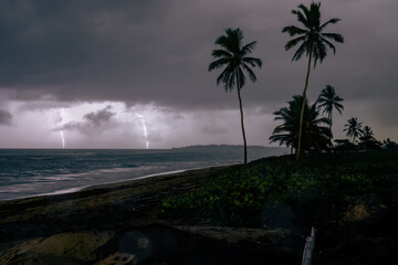 view from the beach with palm tree facing the ocean with heavy clouds and lightning bolts in the distance