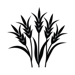  Rice plant picture vector art illustration