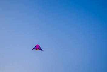 Kids Flying Kites Under a Clear Sky Peaceful and Joyful Outdoor Scene. High quality photo