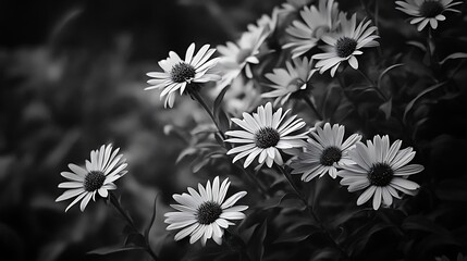 Monochromatic floral cluster in a garden setting.
