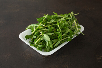 A view of a tray of rice paddy herb.