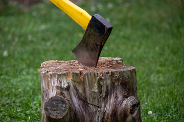 An axe left in a chopping block (a stump) while waiting to cut the next logs.