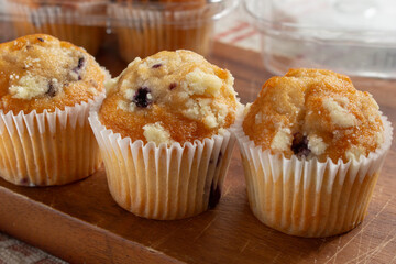 A view of several blueberry mini muffins.