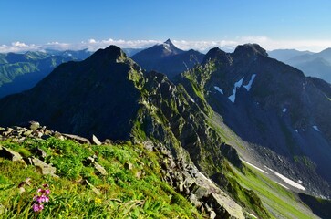 穂高岳から望む北アルプスの峰々