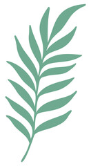 Fern Leaves | Leafy Branch | Vector Plants