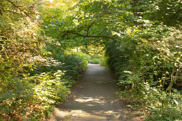 A view of the landscape of an arboretum during the fall season.