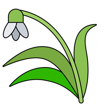 recommend clip art: Snowdrop flower icon