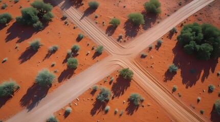Aerial view of a winding dirt road cutting through vibrant red desert terrain scattered with sparse green shrubs and trees, evoking themes of remoteness, travel, and natural beauty

