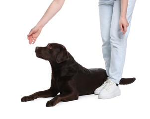 Woman training her dog on white background, closeup