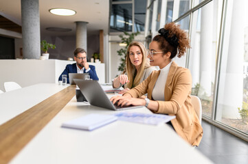 Businesswoman working over laptop while discussing strategies with her female colleague in board...