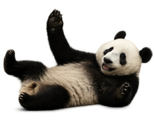Cute Panda Cub Waving Playfully on White Background