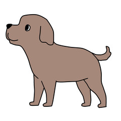 happy, pet, animal, dog, cute, puppy, domestic, portrait, adorable, canine, isolated, purebred, doggy, breed, background, looking, playful, white, sitting, friendly, friendship, young, mammal, funny, 