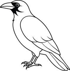 hand drawn crow outline 