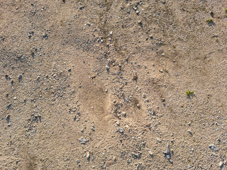Soil texture background. Top view soil . 