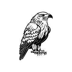 Stylized rendering of a proud eagle in stark black and white illustration