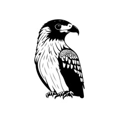 Monochrome illustration of a majestic eagle, conveying power and freedom