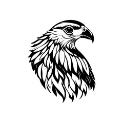 Majestic raptor head detailed monochrome illustration on white backdrop