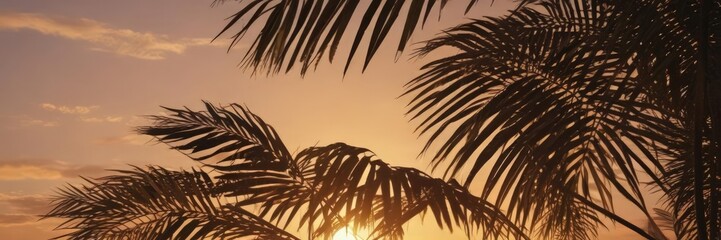 Elegant palm leaf silhouettes against a sunset backdrop ,  artwork,  design