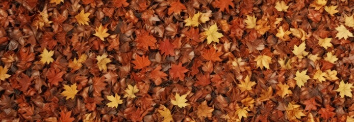 Pile of fallen maple leaves, crisp autumn light,  orange,  golden
