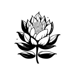 Stylized lotus flower in monochromatic, a graceful blossom illustration