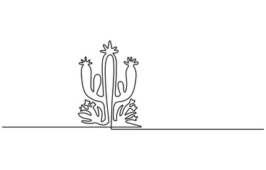 Abstract cactus background on white background