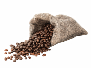 Roasted coffee beans spilling from burlap sack bag dark background hot on transparent background