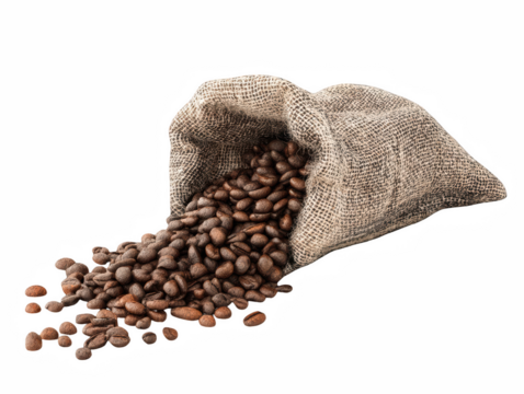 Roasted coffee beans spilling from burlap sack bag dark background hot on transparent background